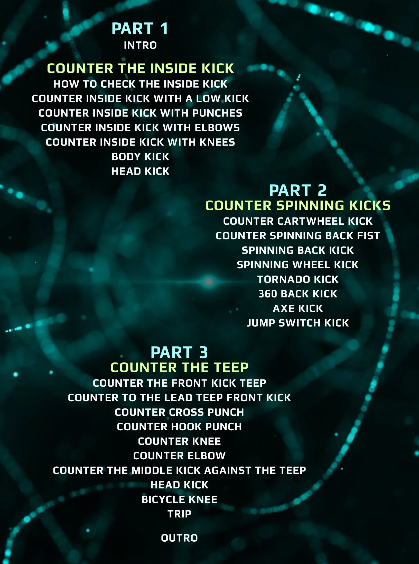 Going Into The Matrix: Counter The Lead Leg by Duke Roufus