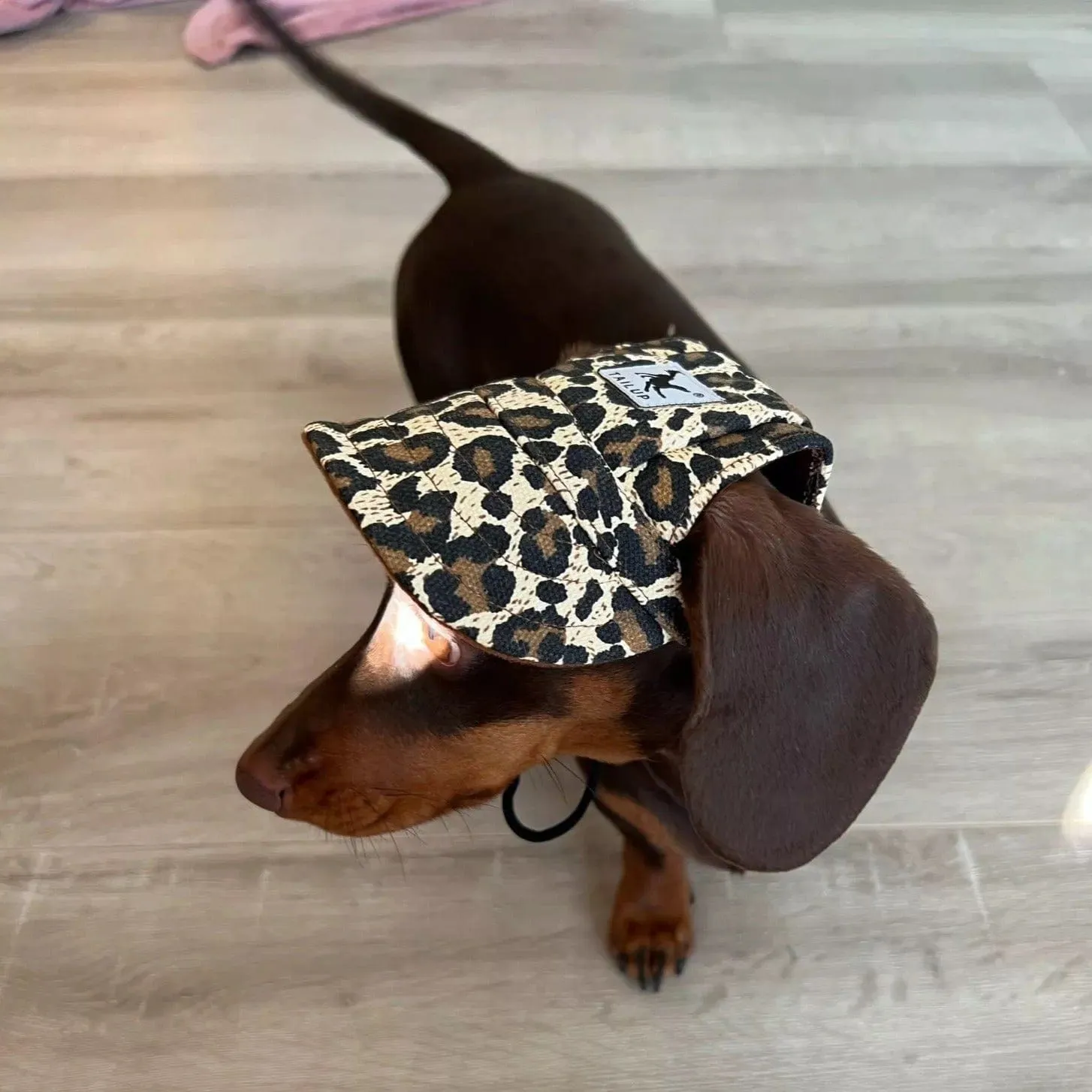 Graphic Baseball Dachshund Hat